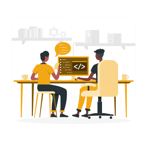 software development